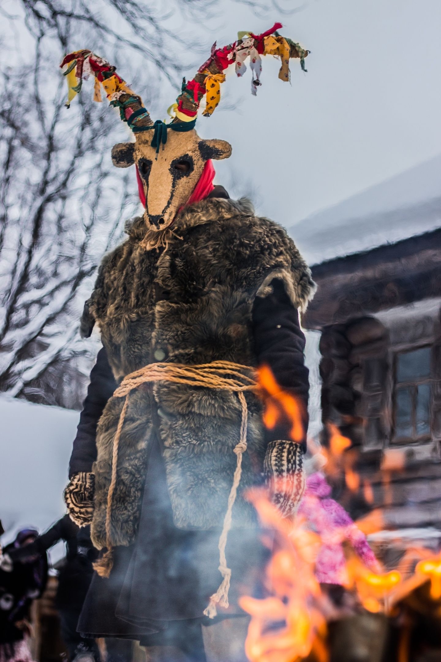 Energetyczny Rozkład Jazdy na tydzień 16.12.2024